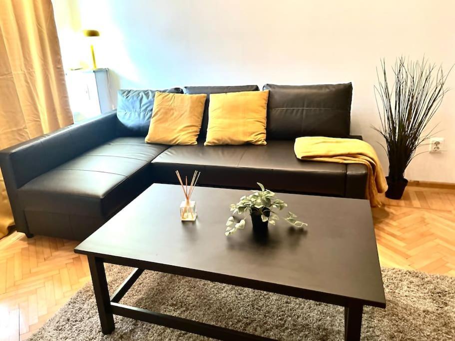 Cozy 1 Bedroom Flat, Ultracentral, Free Wifi * Bucharest