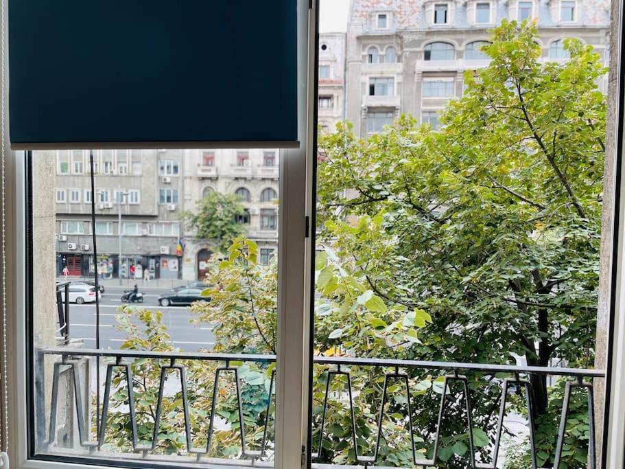 Cozy 1 Bedroom Flat, Ultracentral, Free Wifi Bucharest