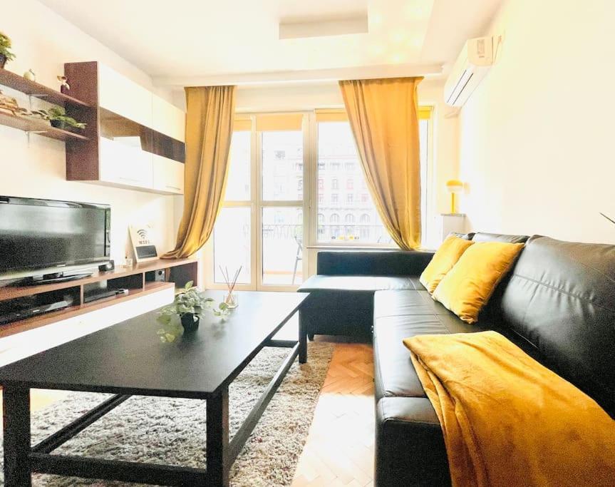 Cozy 1 Bedroom Flat, Ultracentral, Free Wifi Apartment Bucharest