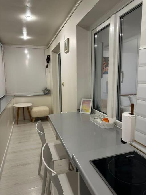 Apartamento Studio Cozy Piata Victoriei