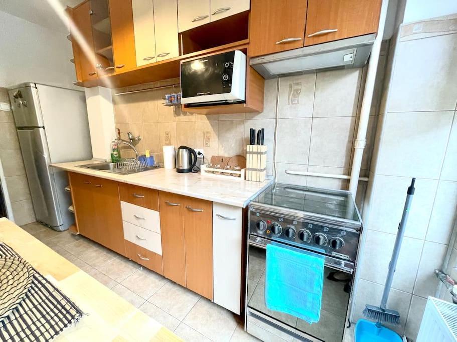 Apartment Cozy 1 Bedroom Flat, Ultracentral, Free Wifi Bucharest