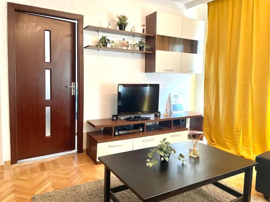 Apartment Cozy 1 Bedroom Flat, Ultracentral, Free Wifi Bucharest