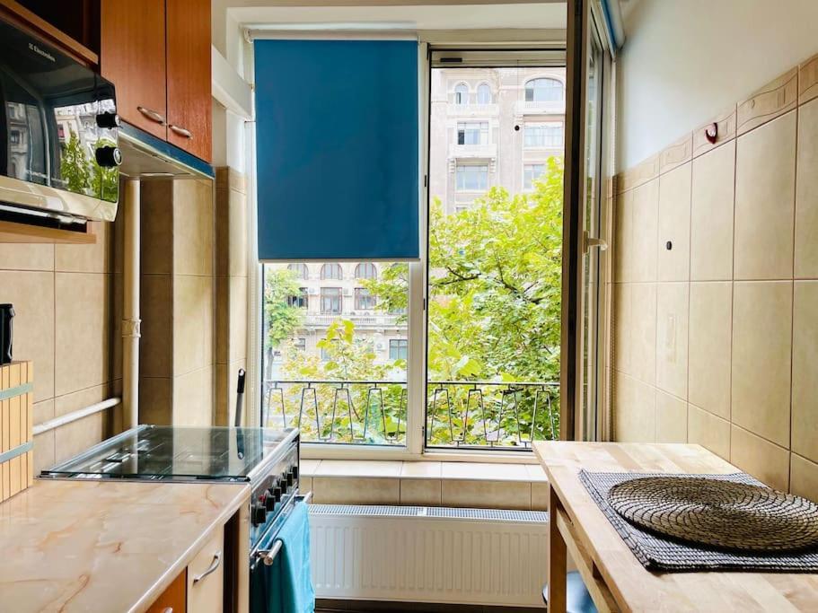 Cozy 1 Bedroom Flat, Ultracentral, Free Wifi * Bucharest