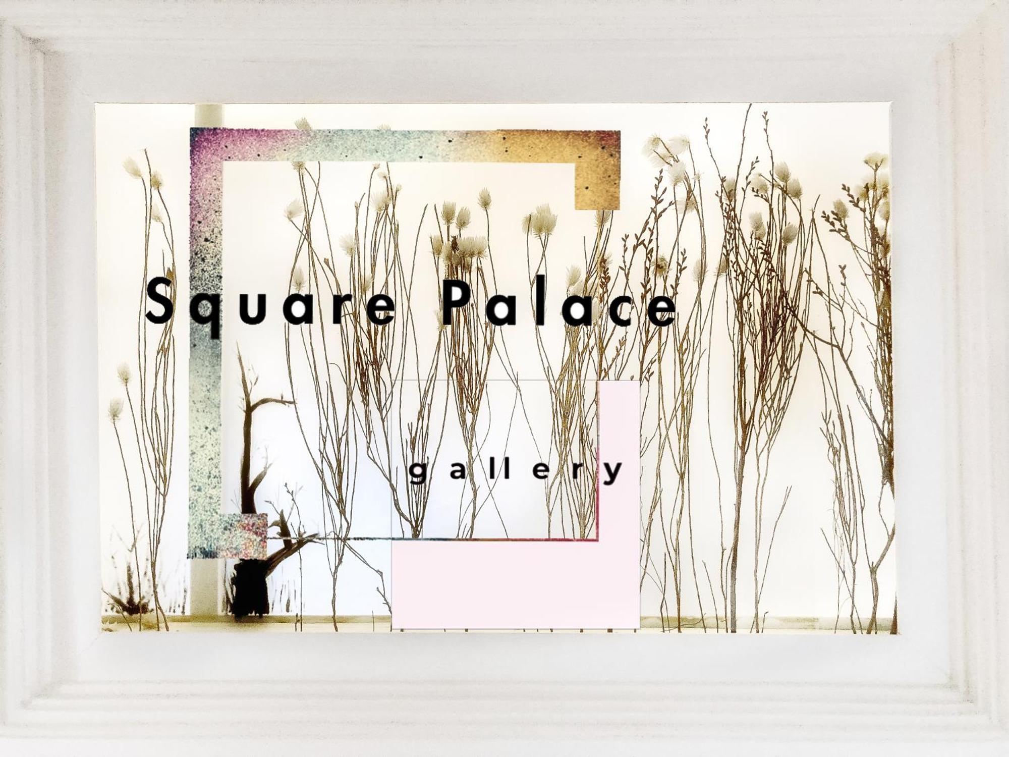 S Q U A Re Palace Gallery//apartment * Bucharest