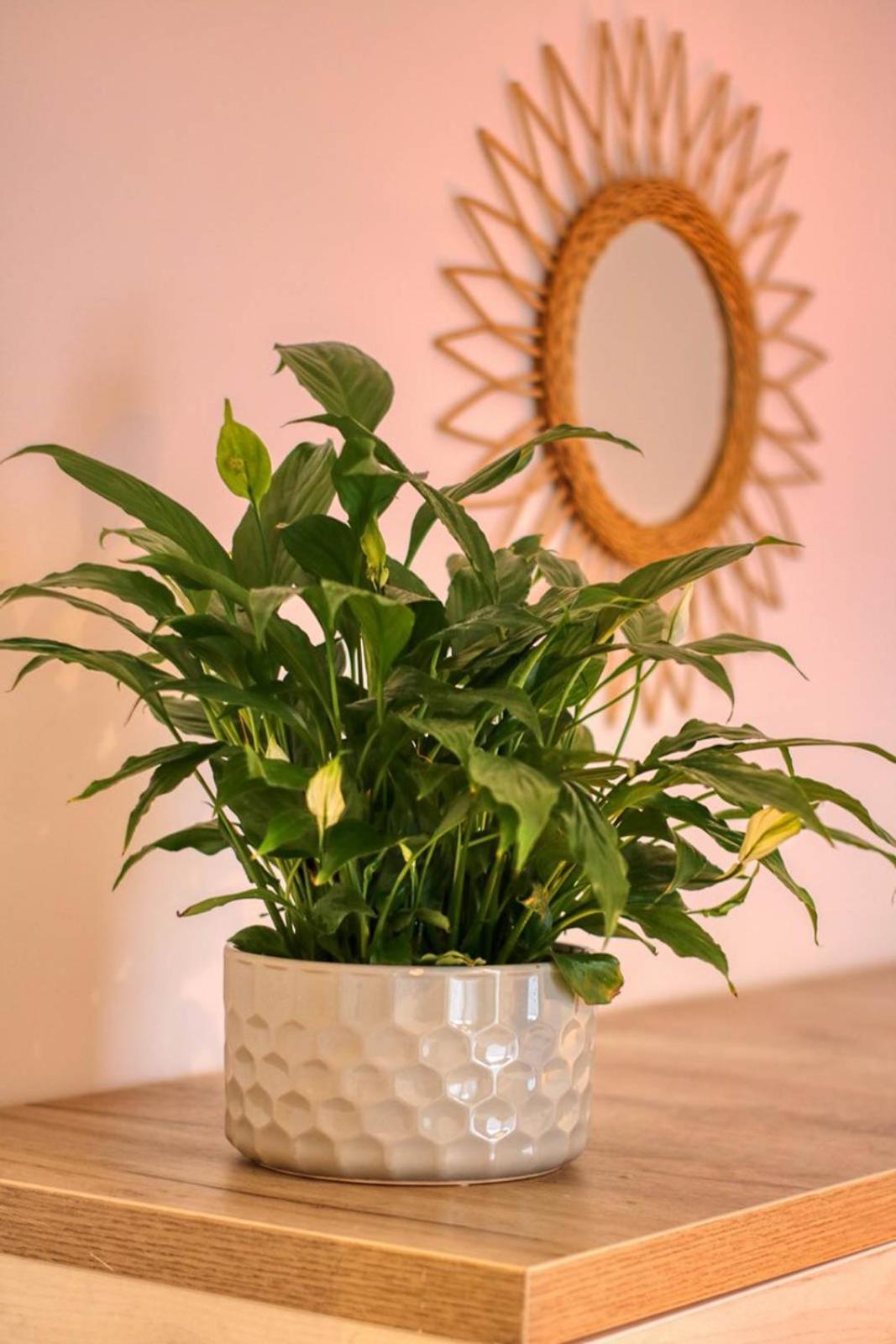 Apartament Relaxation Station - My Charming, Cosy&inviting - Smart Thermostat - Private Parking - Ior Park - Long Term Price Cuts Bucureşti