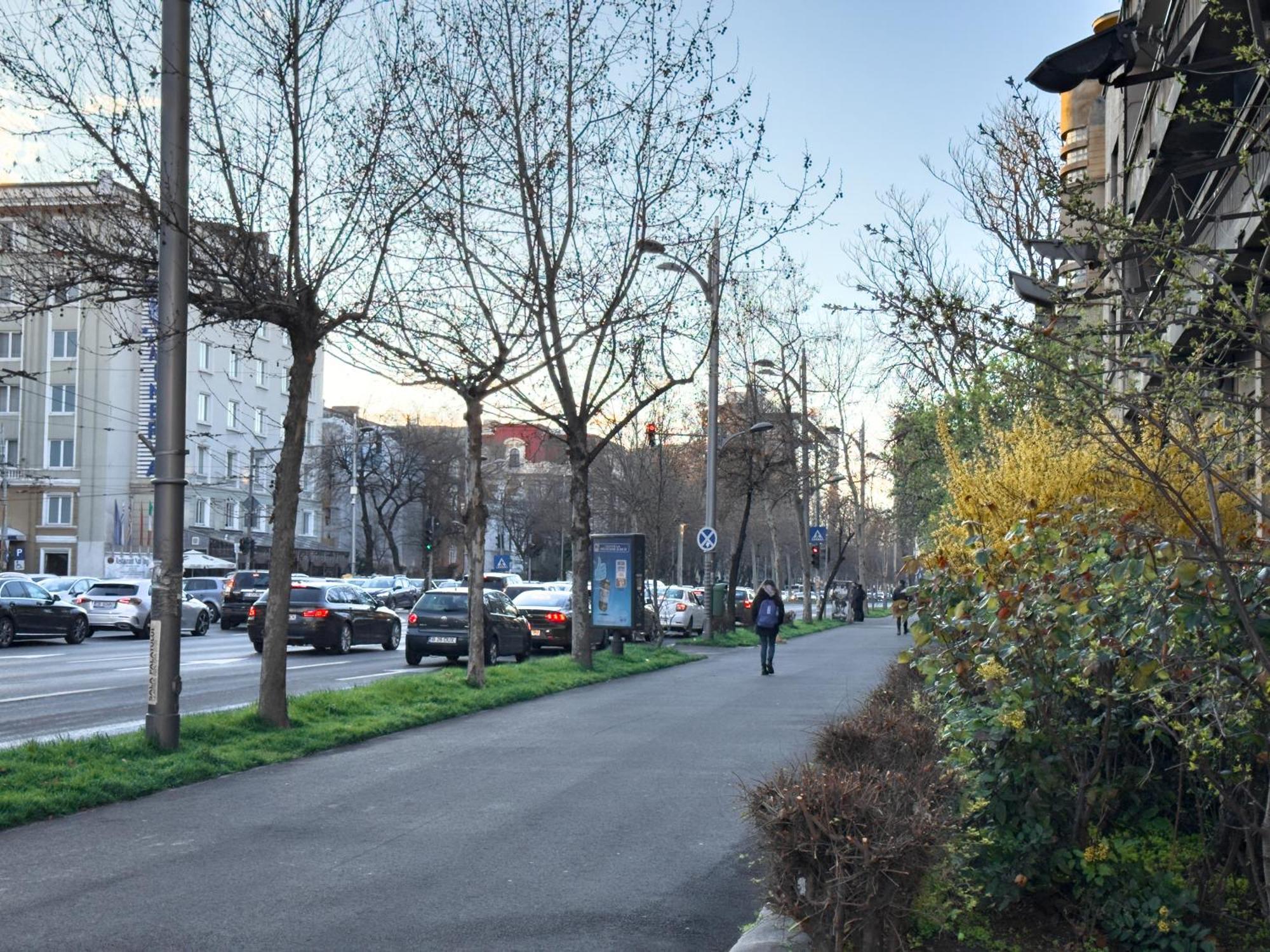 Retreat Bucharest