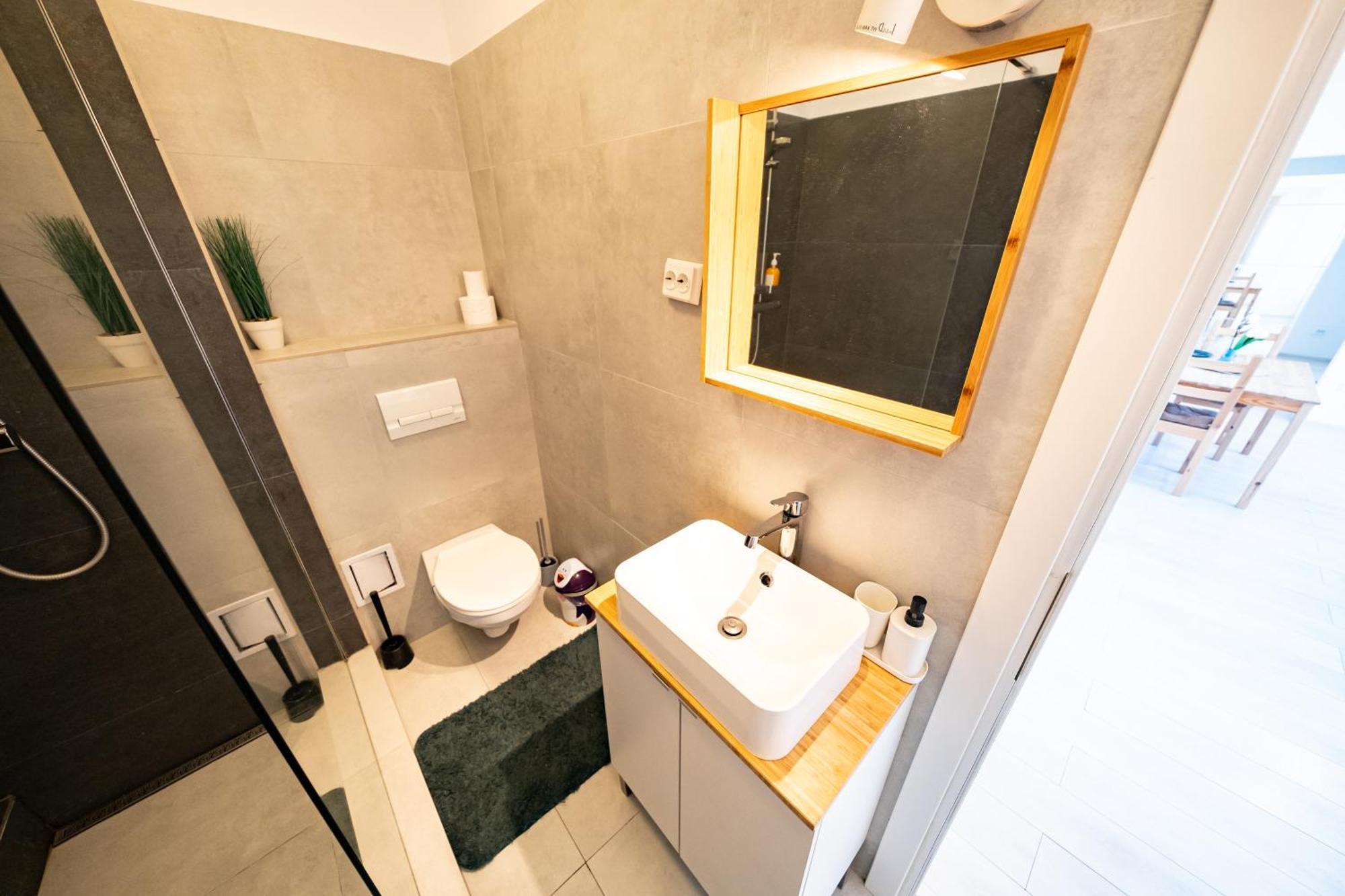 Apartament Ultracentral Romana 2