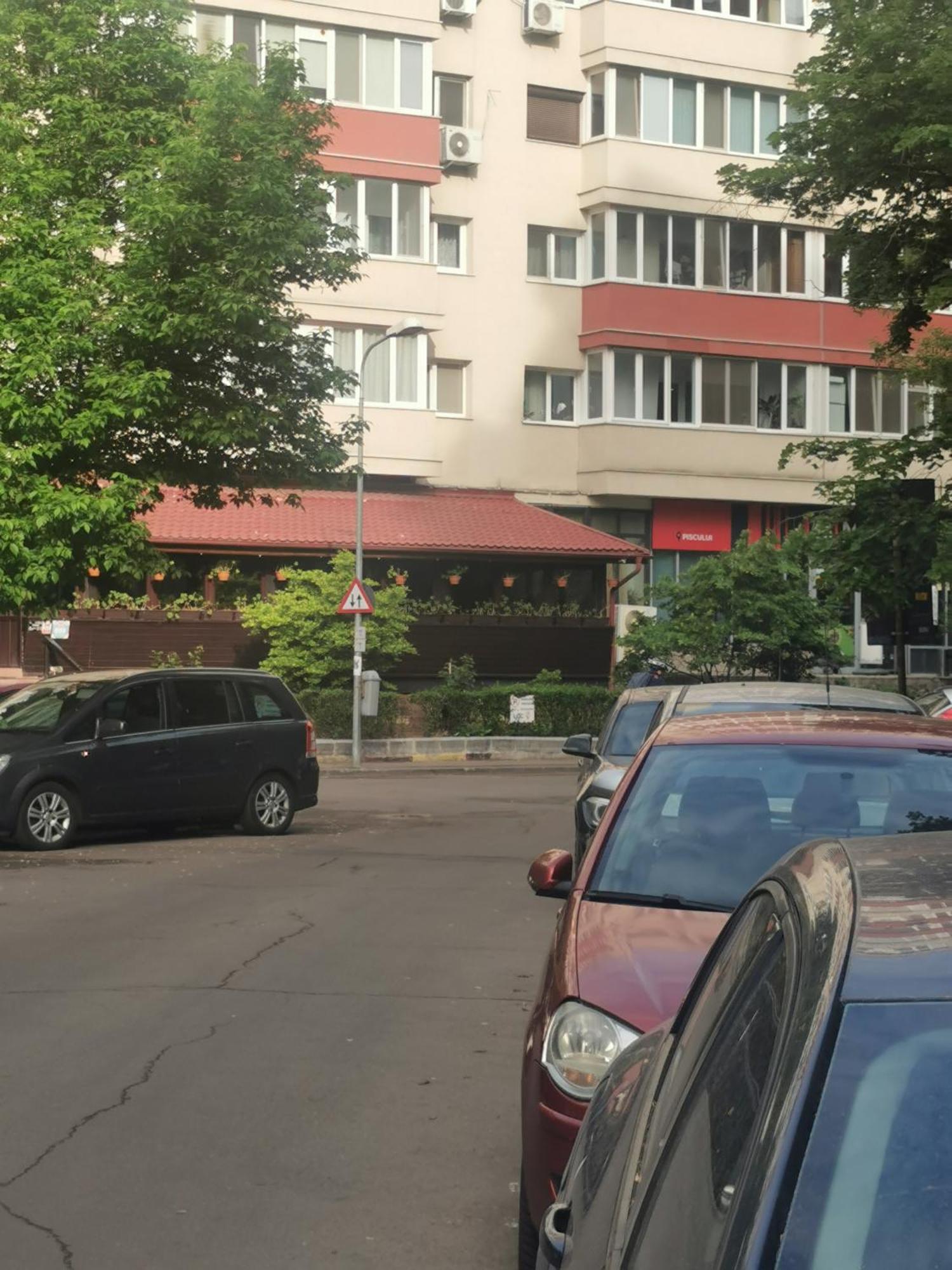Apartment Tineretului *