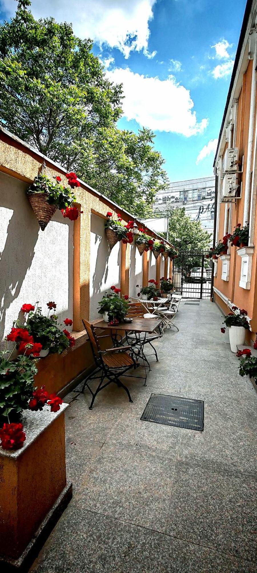 Bucur 9 Casa de hóspedes 3*