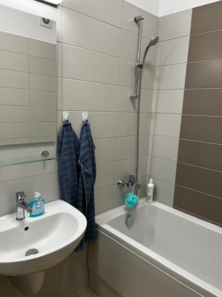Apartment Apartament Dimri 23