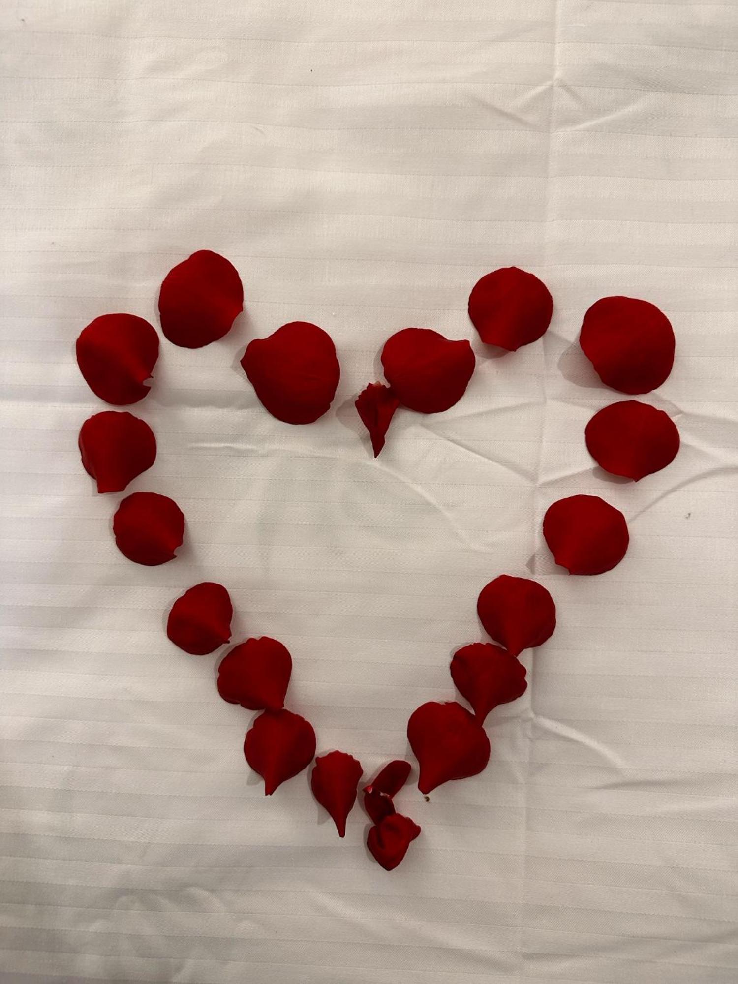 Romantic Charm, Spa, Free Early Check-in Apartment *