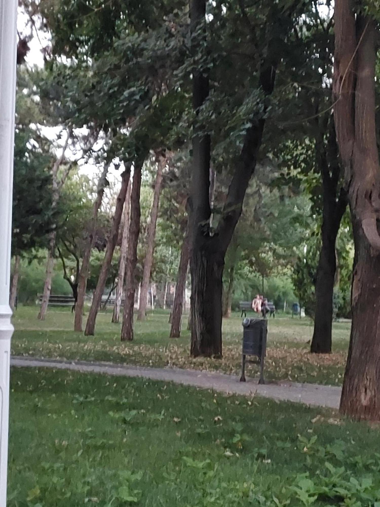 Panorama Mega Pantelimon
