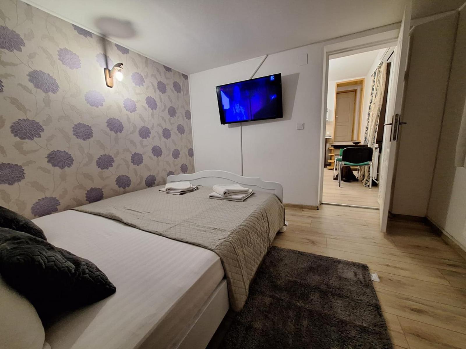 Guest house Ris Piata Romana Bucharest