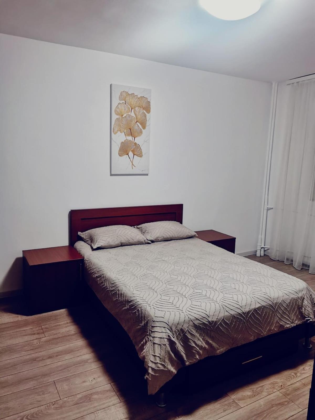 Tineretului Apartment