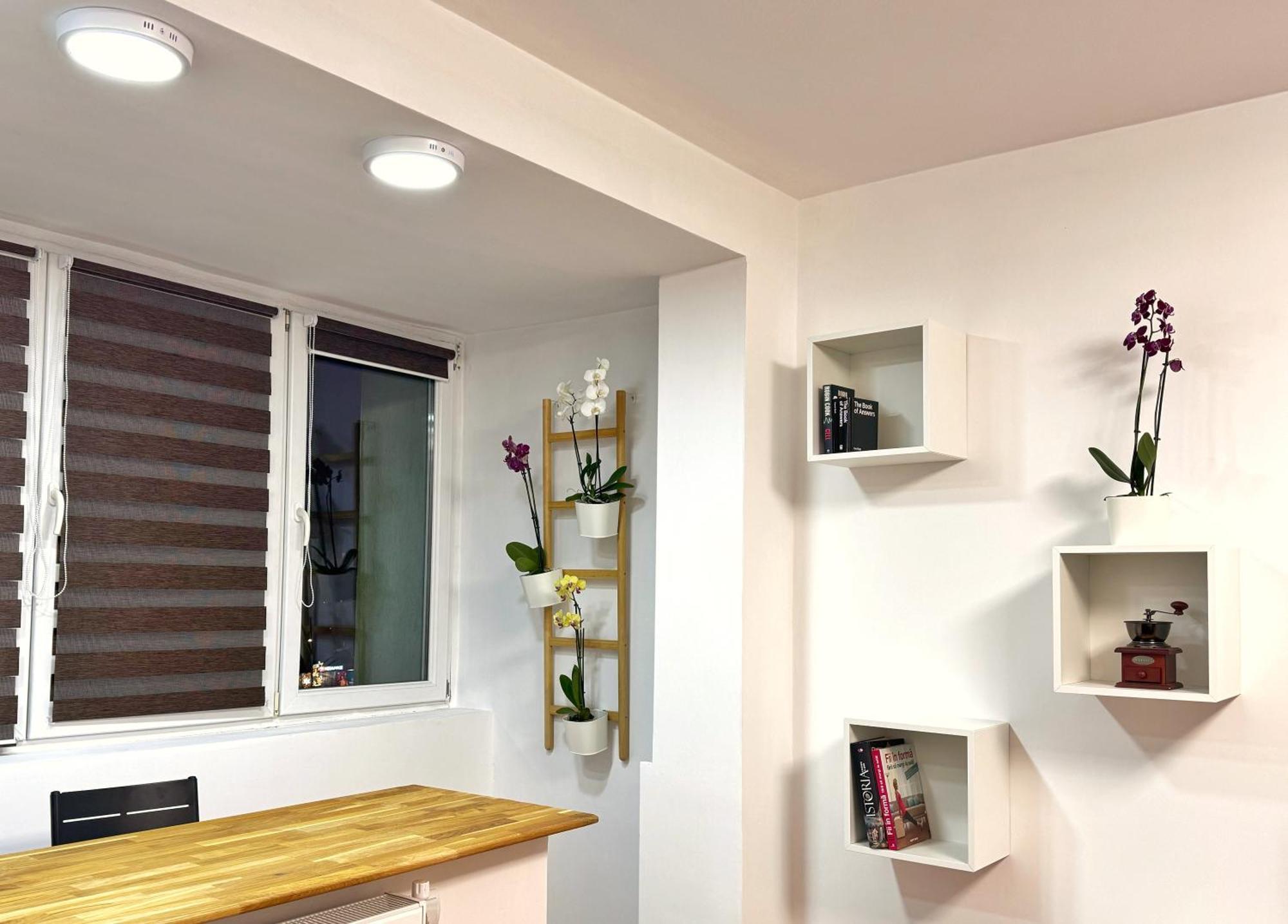 Apartment The Magistral - Downtown