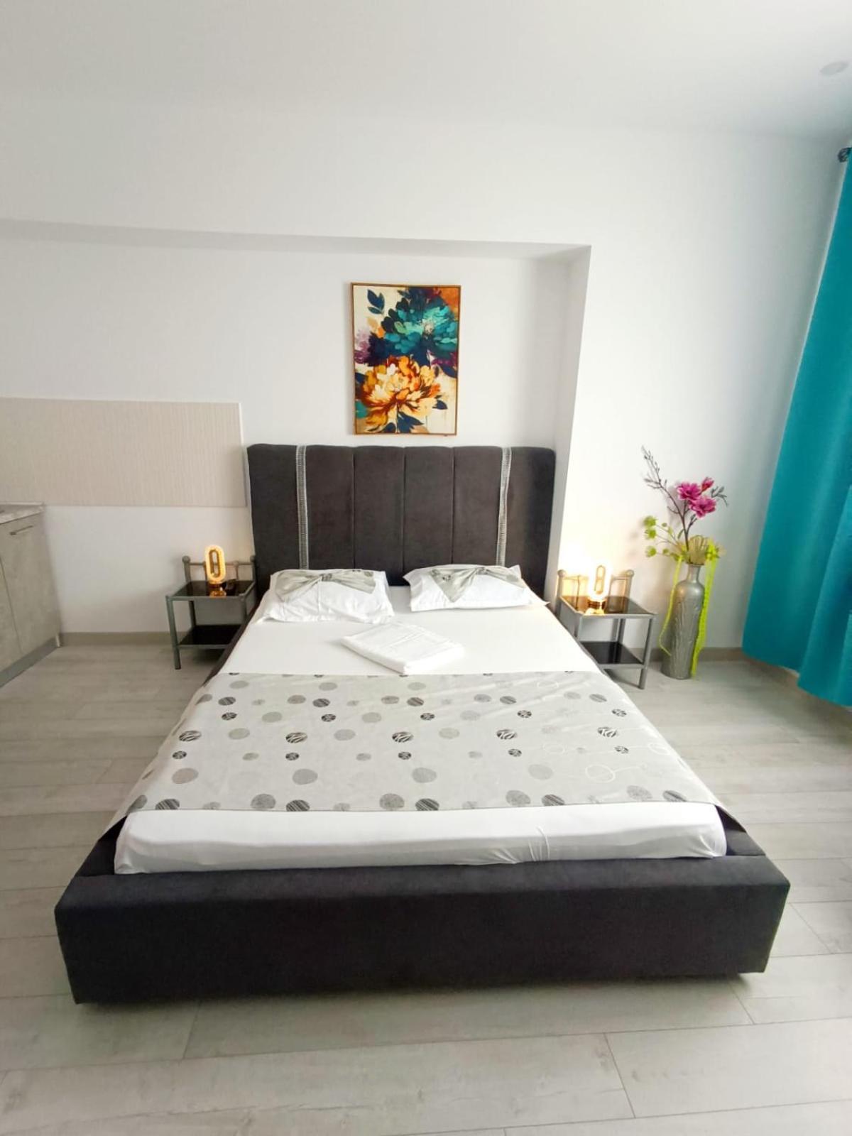 Apartment Eduard Elegance Rin Bucharest