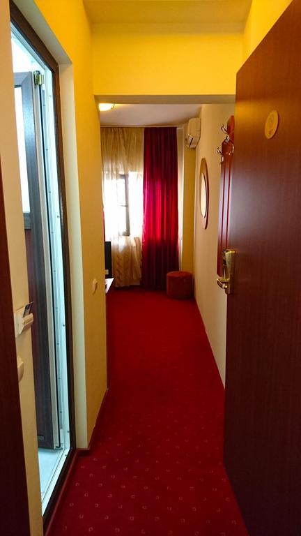 Pui De Urs Bucharest