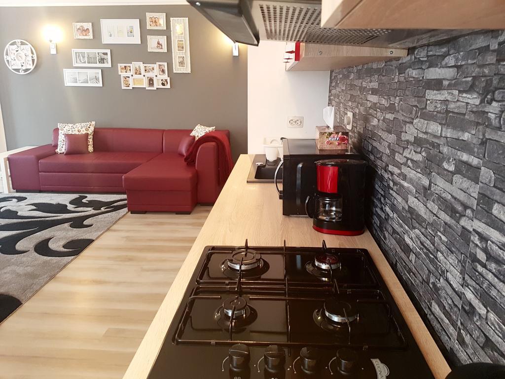 Apartment Fundeni *