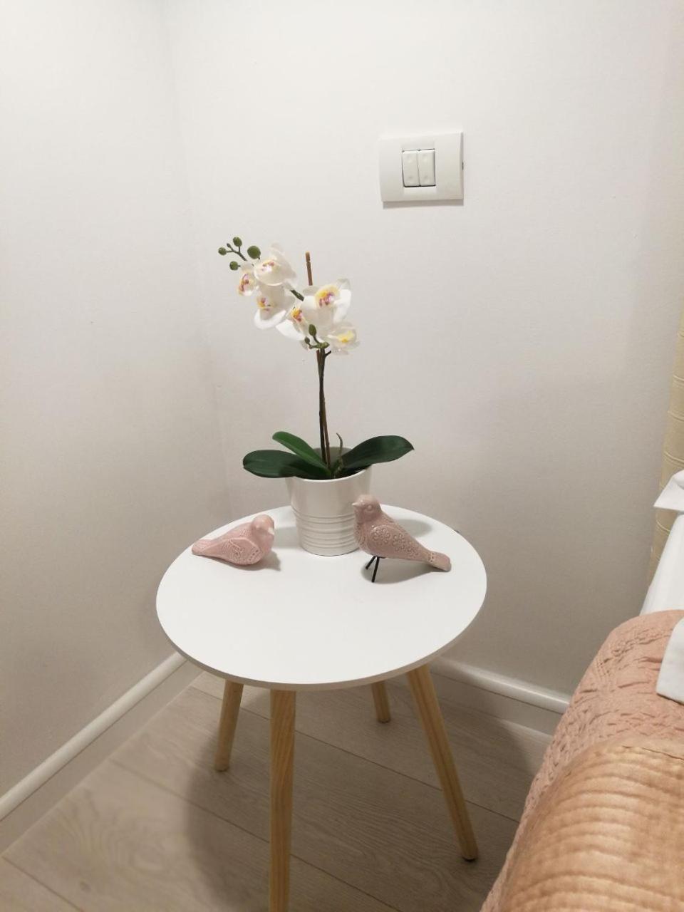 Apartment Metropole Invilla Old