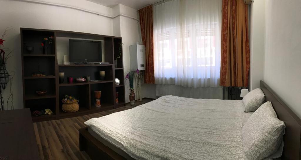 Lucy Apartment