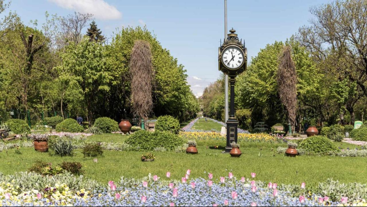 Apartment Cismigiu Grand Bucharest