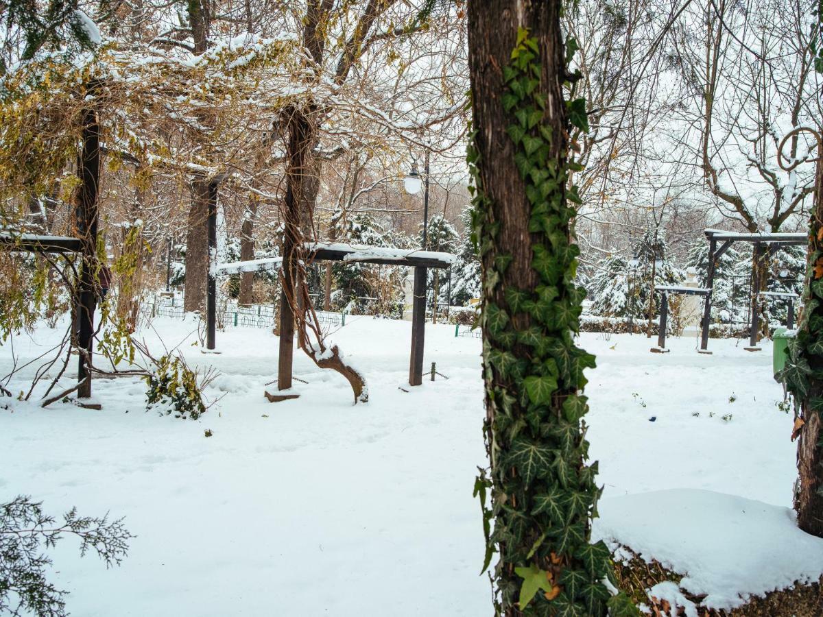 Apartment Boutique Luxury Flats - La Maison Du Petit Paris Bucharest