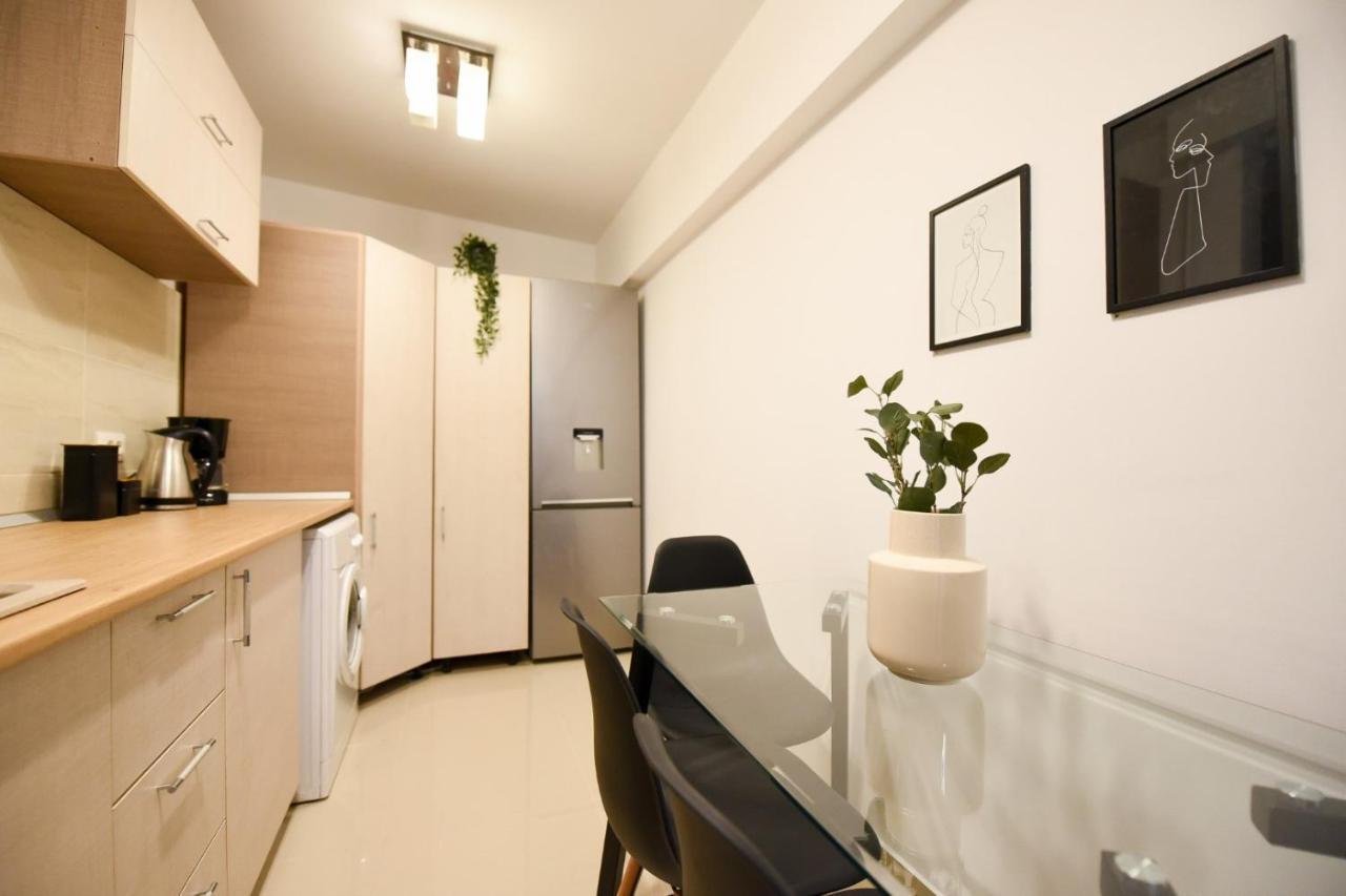 The Chic & Modern - Homey Apartament Bucureşti